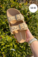Dual Buckle Sandal - Shop Ravel