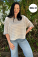 Short Sleeve Textured Stripe Knit Top - Taupe