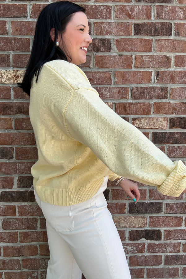 Sardines Sweater Top