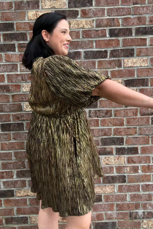 Holiday Happenings Dress