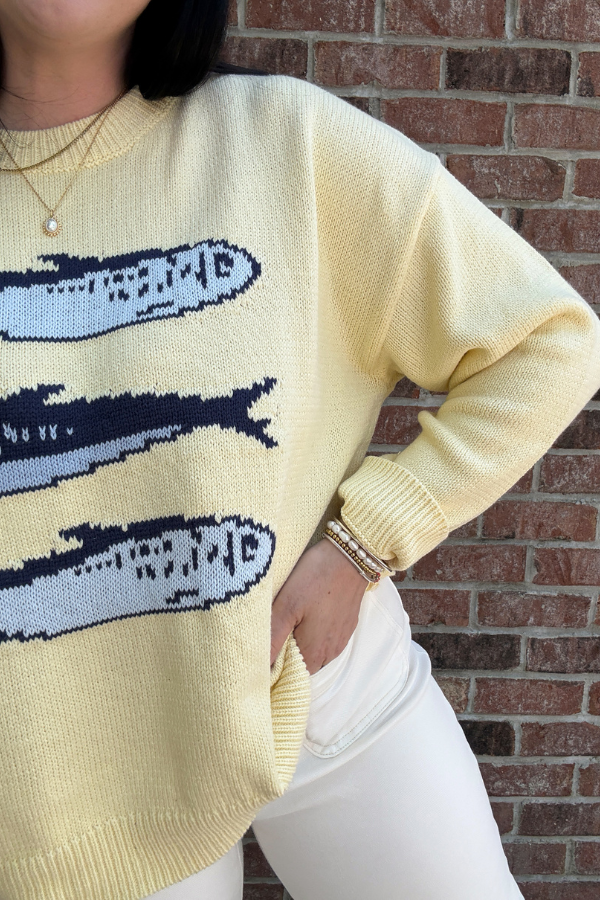 Sardines Sweater Top