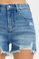 Risen Women's High Rise Distressed Shorts