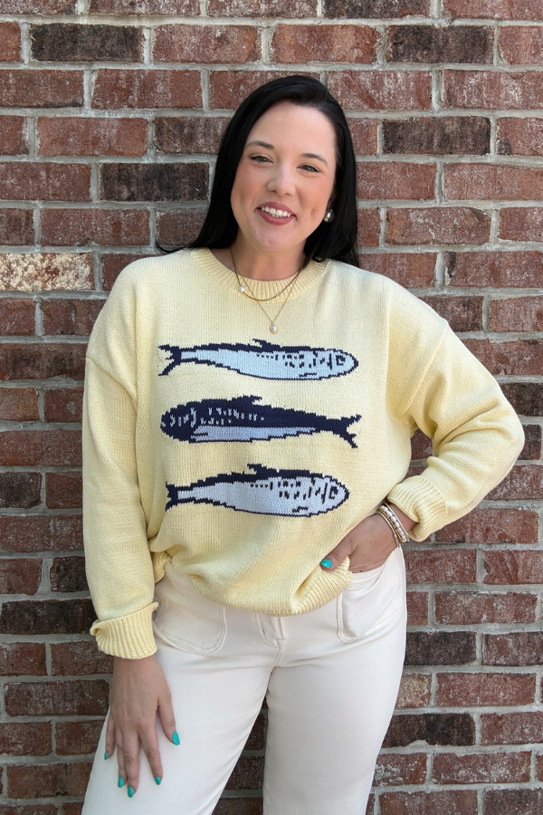 Sardines Sweater Top