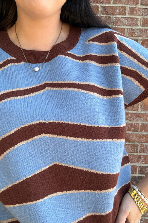 Comfy Sweater Top