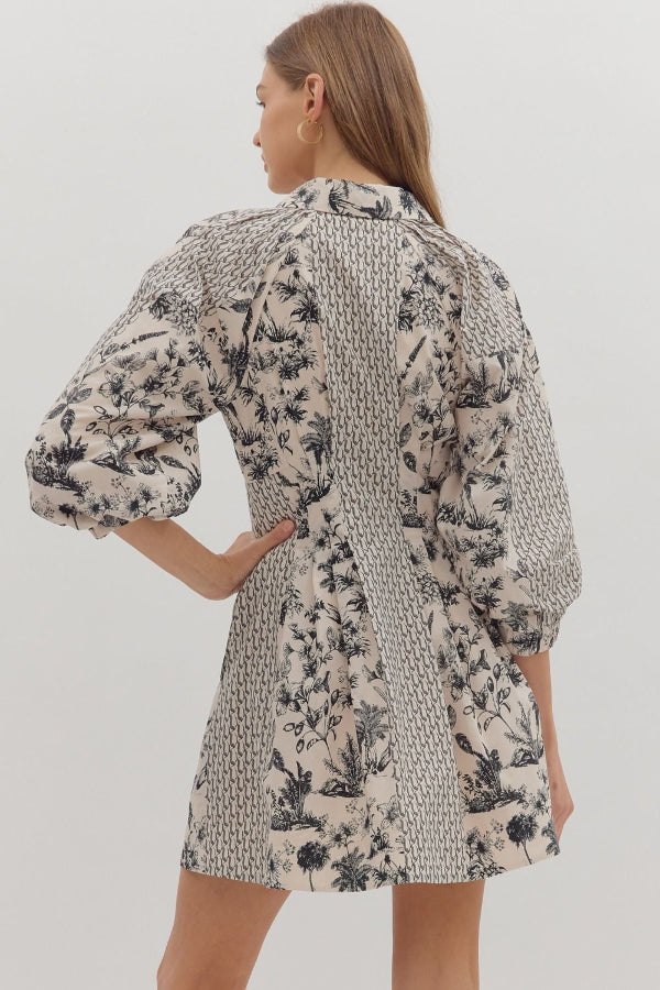 Panel Detail Dress